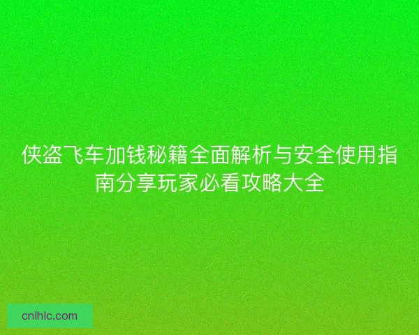 侠盗飞车加钱秘籍全面解析与安全使用指南分享玩家必看攻略大全