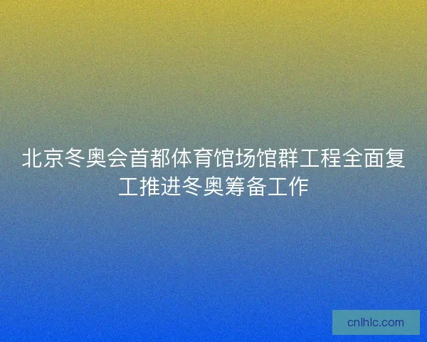 北京冬奥会首都体育馆场馆群工程全面复工推进冬奥筹备工作
