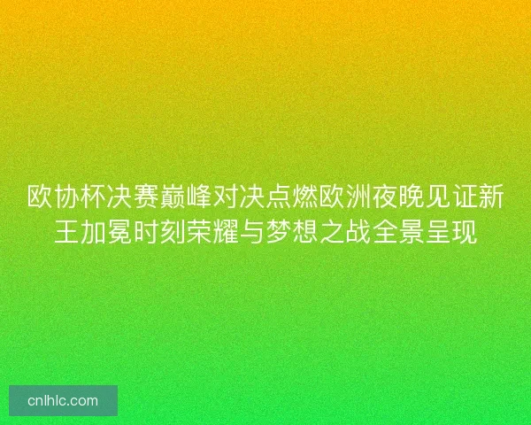 欧协杯决赛巅峰对决点燃欧洲夜晚见证新王加冕时刻荣耀与梦想之战全景呈现 欧协杯决赛巅峰对决点燃欧洲夜晚见证新王加冕时刻荣耀与梦想之战全景呈现