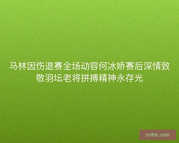 马林因伤退赛全场动容何冰娇赛后深情致敬羽坛老将拼搏精神永存光 马林因伤退赛全场动容何冰娇赛后深情致敬羽坛老将拼搏精神永存光